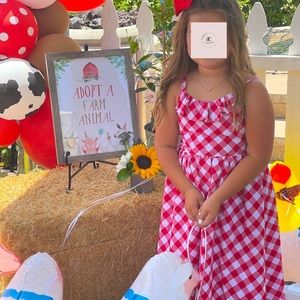 Gymboree Red Gingham Dress